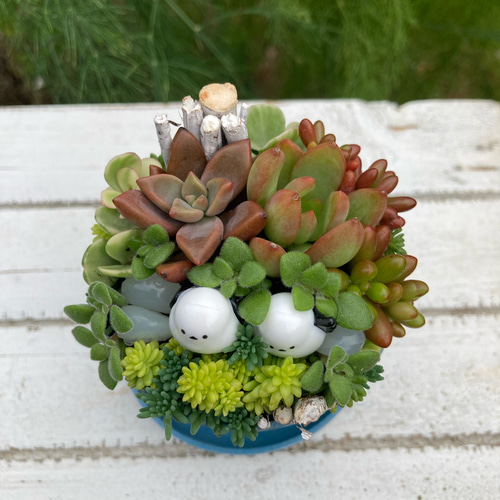 多肉植物寄植え 鉢と鉢皿セット セピアカラー鉢 シマエナガの小さな森