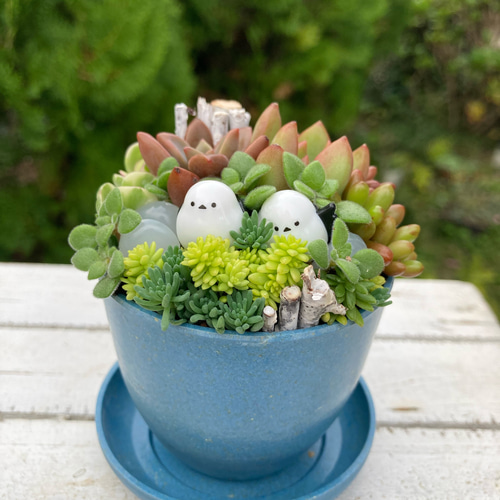 多肉植物寄植え 鉢と鉢皿セット セピアカラー鉢 シマエナガの小さな森