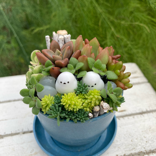 多肉植物寄植え 鉢と鉢皿セット セピアカラー鉢 シマエナガの小さな森