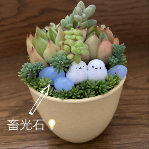 多肉植物寄植え 鉢と鉢皿セット セピアカラー鉢 シマエナガの小さな森