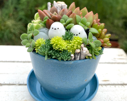 多肉植物寄植え 鉢と鉢皿セット セピアカラー鉢 シマエナガの小さな森