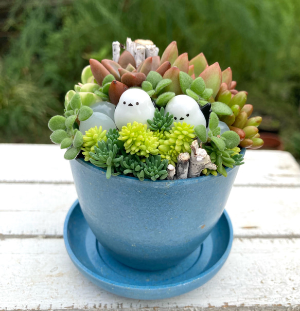 多肉植物寄植え 鉢と鉢皿セット セピアカラー鉢 シマエナガの小さな森