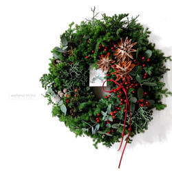 針葉樹 ユーカリ リース（フルリース）クリスマスリース クリスマス