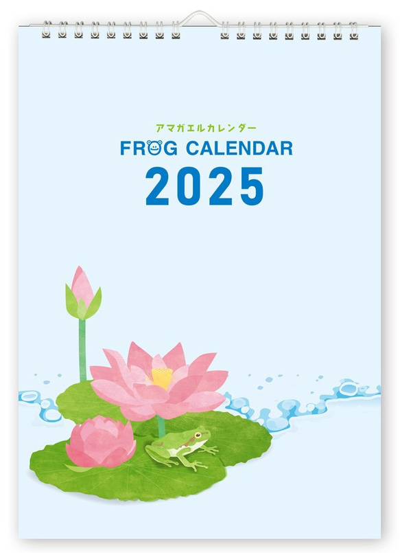 アマガエル カレンダー A3壁掛けタイプ  2025年版 1枚目の画像