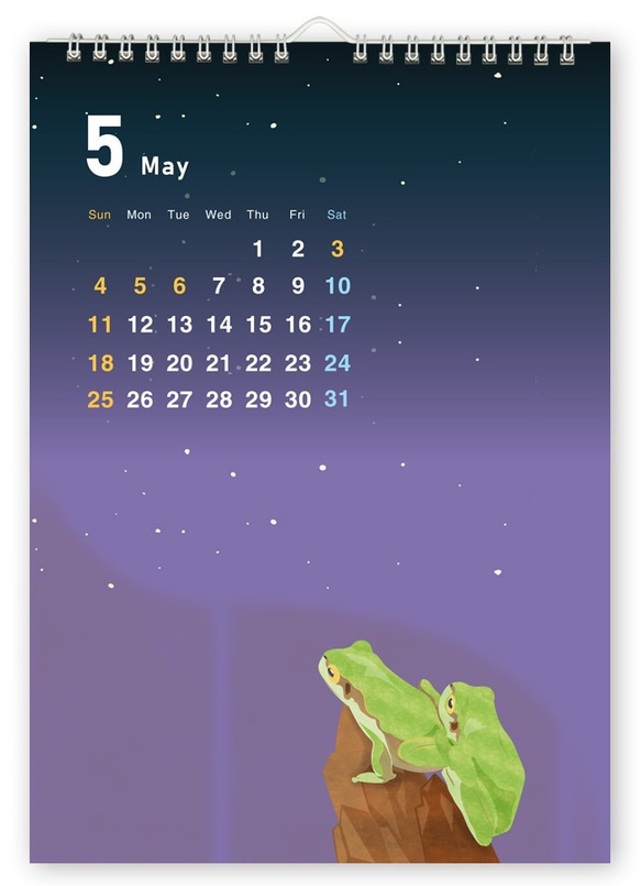 アマガエル カレンダー A3壁掛けタイプ  2025年版 6枚目の画像