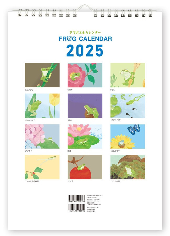 アマガエル カレンダー A3壁掛けタイプ  2025年版 14枚目の画像