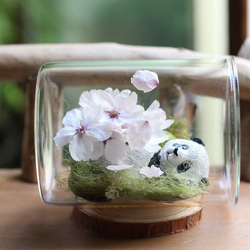 桜（さくら） ドライフラワー のおすすめ人気通販｜Creema(クリーマ