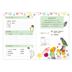 血圧手帳 とりアート ロリキート 3枚目の画像
