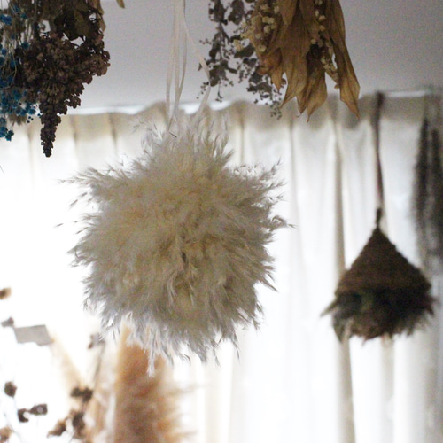 パンパスボール ドライフラワー petit chocolat 通販 18448841