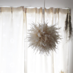 パンパスボール ドライフラワー petit chocolat 通販 18448841