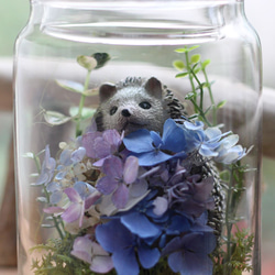 ❤【森の妖精ハリネズミ君】生花のような枯れない本物のお花/ガラスジャーボトル・ドライフラワー・誕生日・結婚祝い・記念日 5枚目の画像