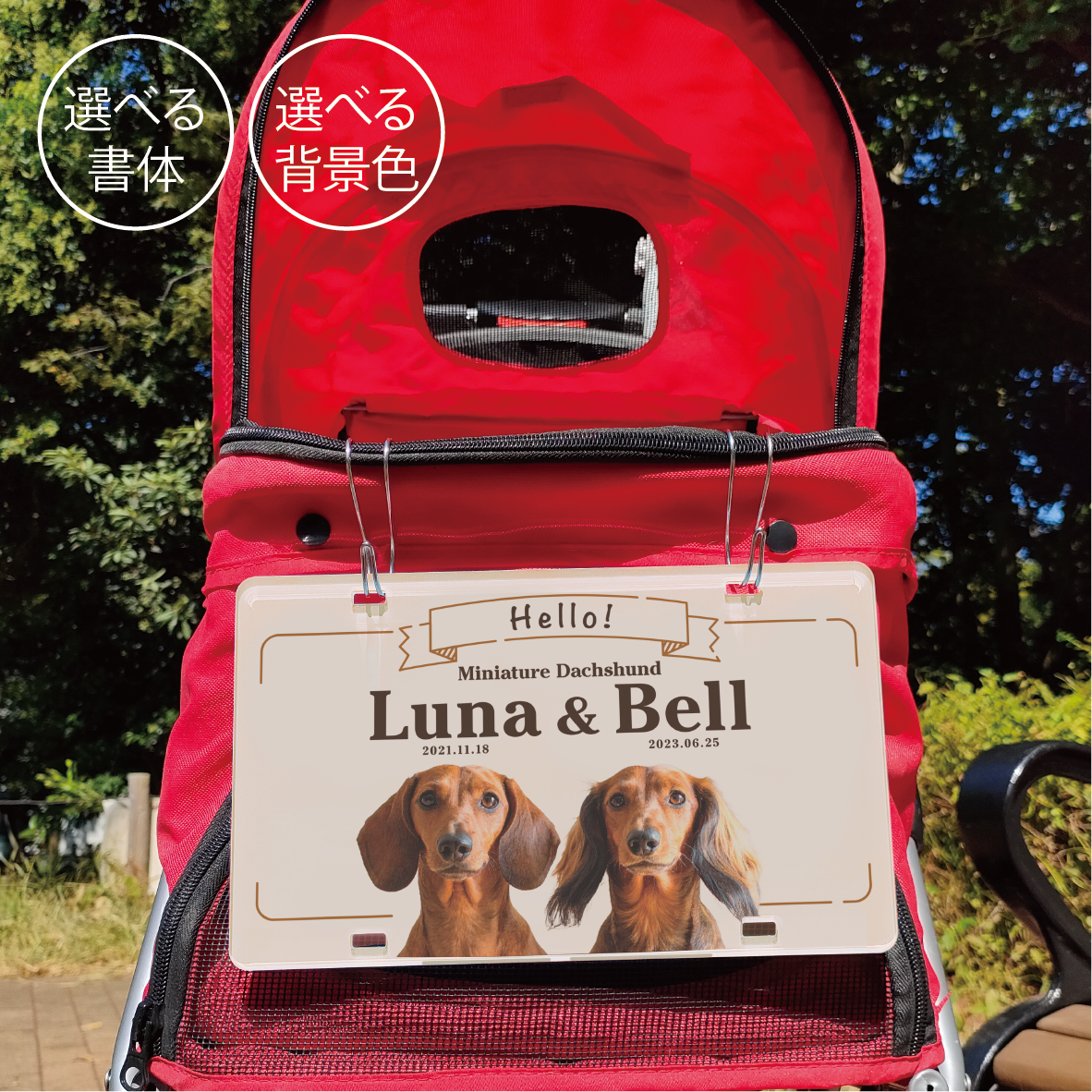 うちの子　多頭さん　写真入り　ペットカートのネームプレート　犬　ドッグ　バギー　ペット 名前 送料込