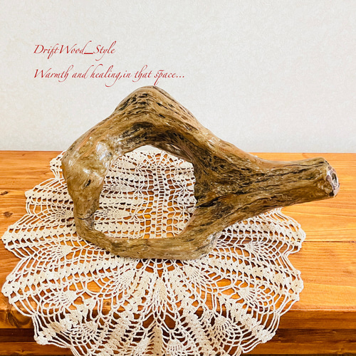 流木インテリア 小物を飾れる個性的な造形の流木 スタンド 植物や小物