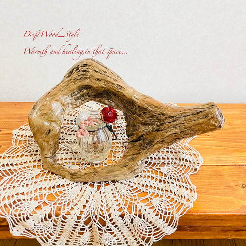 流木インテリア 小物を飾れる個性的な造形の流木 スタンド 植物や小物