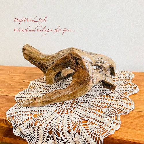 流木インテリア 小物を飾れる個性的な造形の流木 スタンド 植物や小物