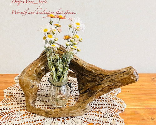 流木インテリア 小物を飾れる個性的な造形の流木 スタンド 植物