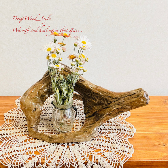 流木インテリア 小物を飾れる個性的な造形の流木 スタンド 植物や小物