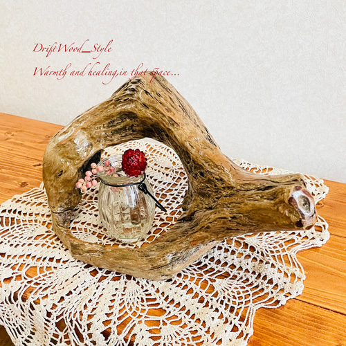 流木 インテリア 流木インテリア ディスプレイセット 1020400007 その他インテリア雑貨