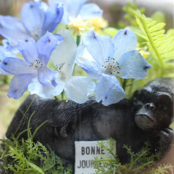 ❤【ゴリラ君は森の哲学者】生花のような枯れない本物のお花/ガラスボトル・ドライフラワー・誕生日・結婚祝い・記念日 4枚目の画像
