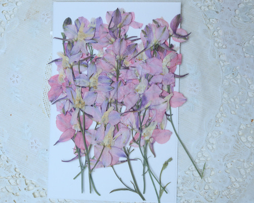 押絵  花菖蒲 ハントメイド インテリア アンティーク 鳥 ハンドメイド 押し花アート額縁 鳥籠モチーフ - メルカリ
