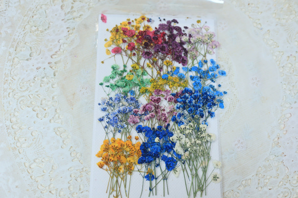 押し花かすみ草13色5本ずつ その他素材 花mizuki 通販 18450310