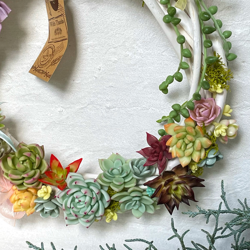 多肉たっぷりリース♡20cm 粘土多肉植物♪グリーンインテリア リース