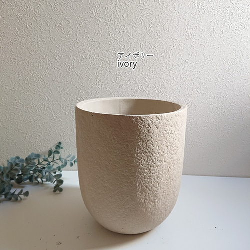 ○数量限定○新作○ ※樹形厳選 大きめ ”フィロデンドロン・クッカバラ