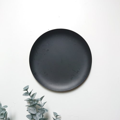 ○数量限定○新作○ ※樹形厳選 大きめ ”フィロデンドロン・クッカバラ