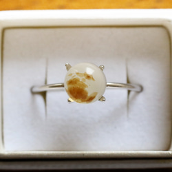 （獨一無二/Silver925）蒙大拿州苔瑪瑙銀戒指（6毫米） 第1張的照片