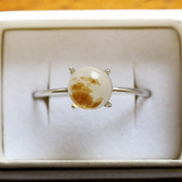 （獨一無二/Silver925）蒙大拿州苔瑪瑙銀戒指（6毫米） 第1張的照片