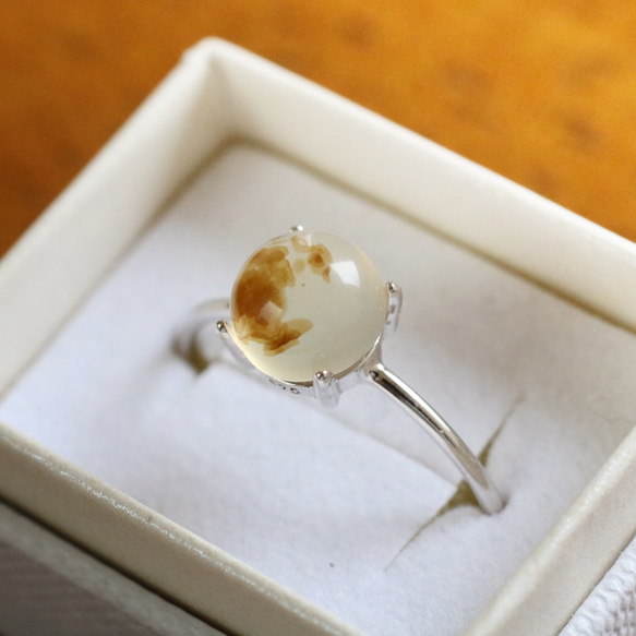 （獨一無二/Silver925）蒙大拿州苔瑪瑙銀戒指（6毫米） 第5張的照片