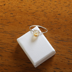 （獨一無二/Silver925）蒙大拿州苔瑪瑙銀戒指（6毫米） 第7張的照片