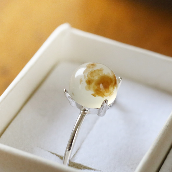 （獨一無二/Silver925）蒙大拿州苔瑪瑙銀戒指（6毫米） 第4張的照片