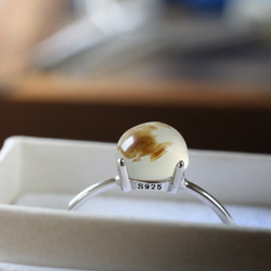 （獨一無二/Silver925）蒙大拿州苔瑪瑙銀戒指（6毫米） 第2張的照片