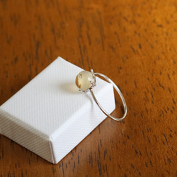 （獨一無二/Silver925）蒙大拿州苔瑪瑙銀戒指（6毫米） 第6張的照片