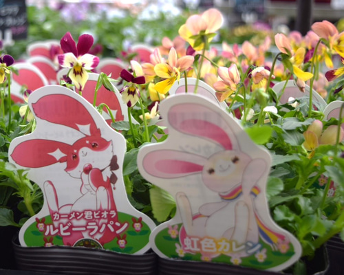 e2af3d7f2c77e695af57a121bccfad