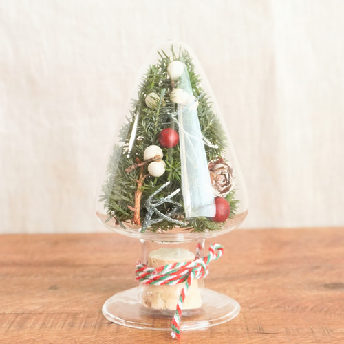 お手入れ簡単♪ガラスのクリスマスツリーS（プリザーブドフラワー