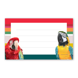名刺サイズ メモカード メッセージカード コンゴウインコ2 3枚目の画像