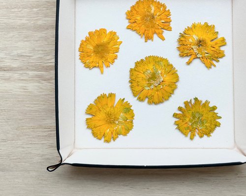 ♡展示品♡ひまわり　バレッタ　レジン　ハンドメイド　押し花 ♡展示品♡ひまわり押し花バレッタハンドメイドレジン