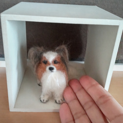 羊毛フェルト ベッタン子 サルーキ犬 羊毛フェルト olive 通販