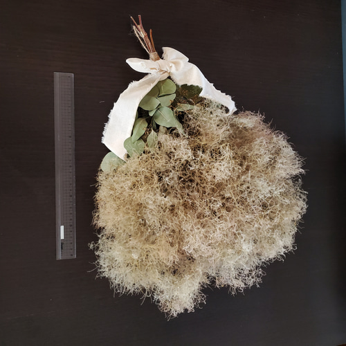 スモークツリースワッグ♡ちょっと大きめ スモークツリーのスワッグを作りました。 | LEE