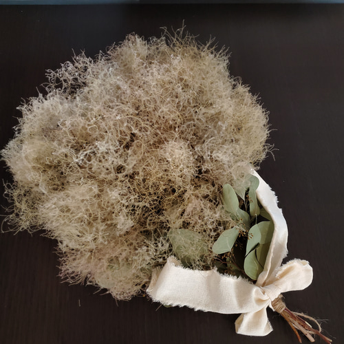 スモークツリーの大きなスワッグ スワッグ GREEN ROSE 通販