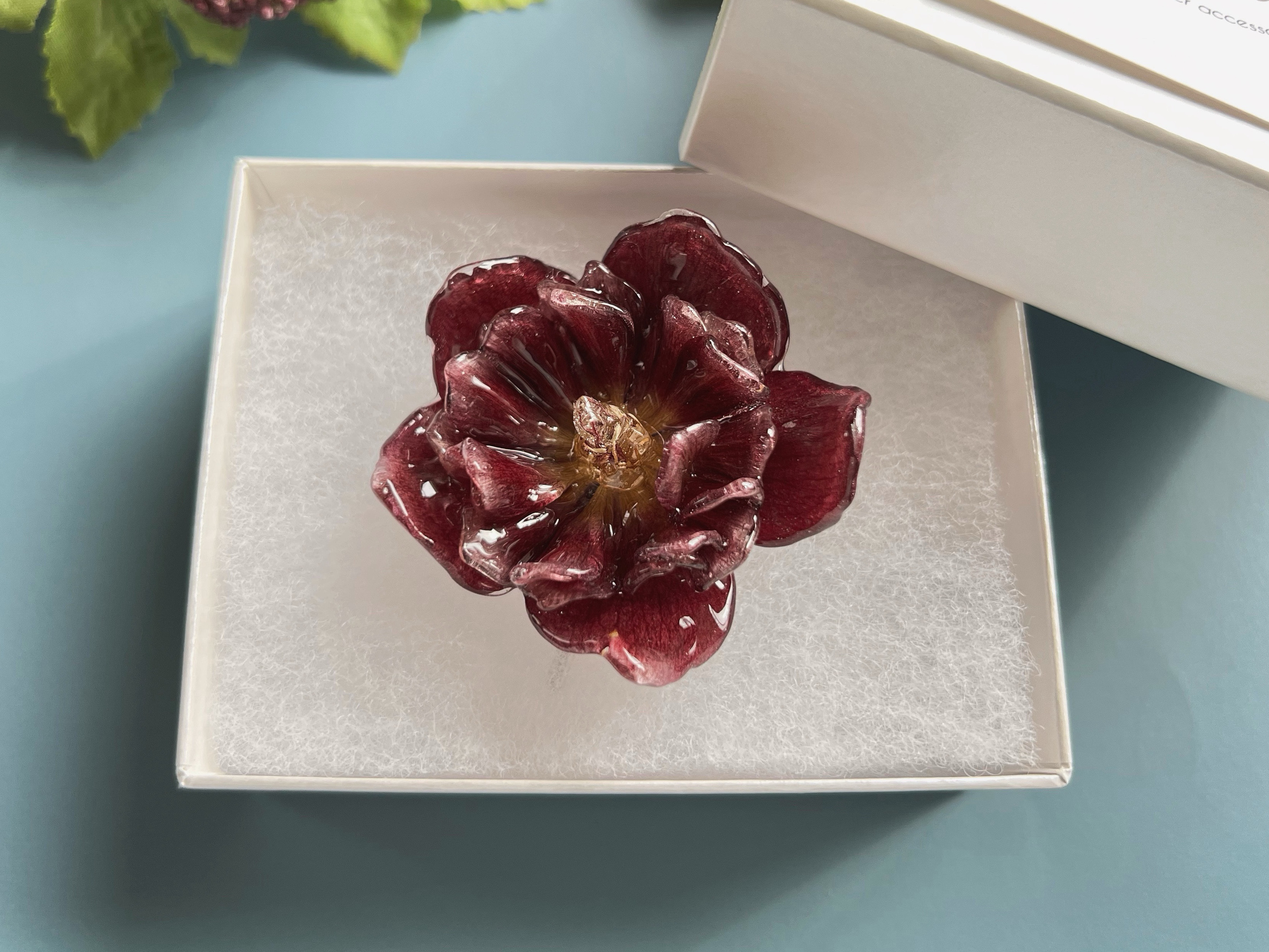 本物のお花 クリスマスローズのポニーフック ＊no.5