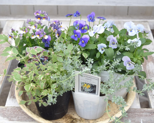 9ec18cb82dec5162f1f5f91bc92cdc