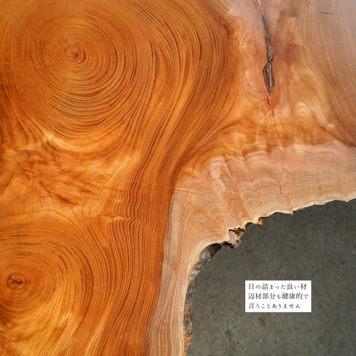 大きな欅の輪切り一枚板 ローテーブル ローテーブル・リビングテーブル