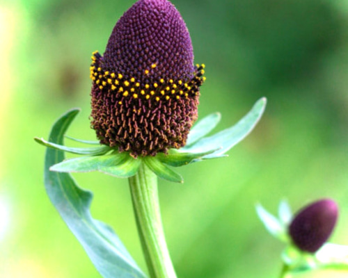 85ab70221ebbaf4760c013609faefb