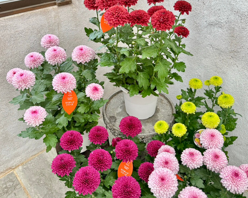 194e0fa9ac63b354e6f13b3b4df7b4