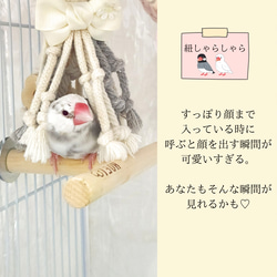 文鳥 小鳥のおもちゃ 【文鳥さんの紐しゃらしゃら(オフホワイト無地) 】文鳥おもちゃ 文鳥紐おもちゃ バードトイ 10枚目の画像