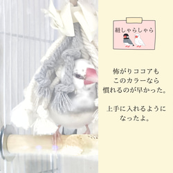 文鳥 小鳥のおもちゃ 【文鳥さんの紐しゃらしゃら(オフホワイト無地) 】文鳥おもちゃ 文鳥紐おもちゃ バードトイ 9枚目の画像