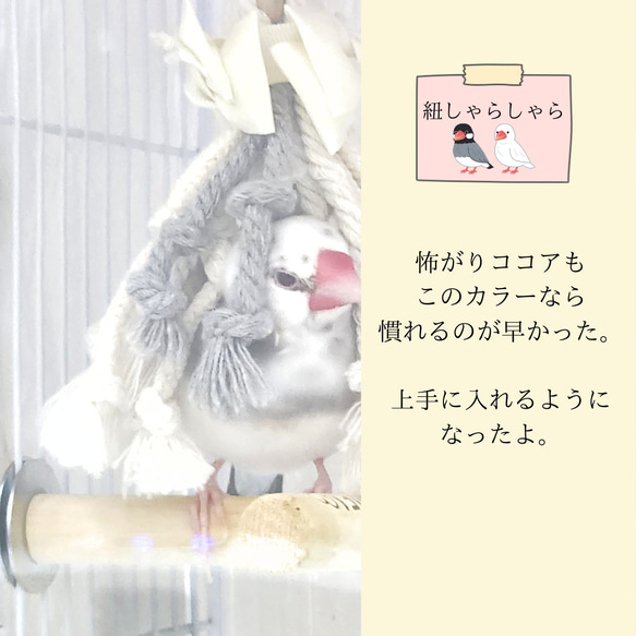文鳥 小鳥のおもちゃ 【文鳥さんの紐しゃらしゃら(オフホワイト無地) 】文鳥おもちゃ 文鳥紐おもちゃ バードトイ 9枚目の画像